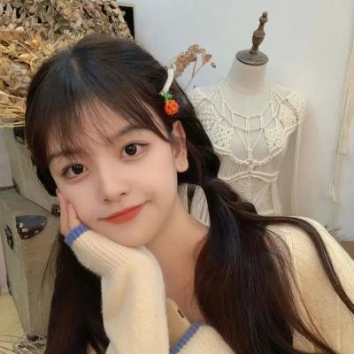 探索青年飞鸟记