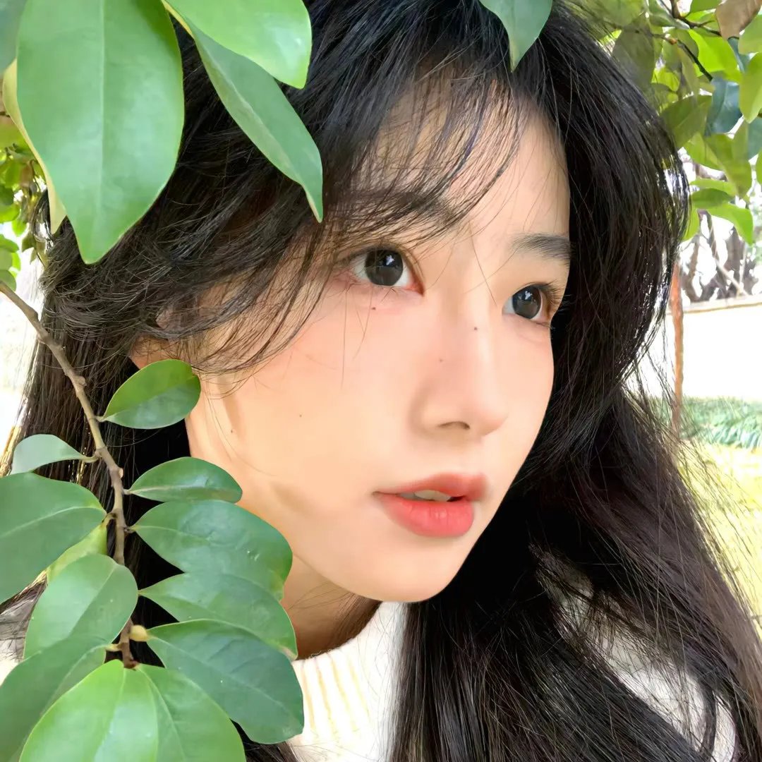碧丽莎的情人